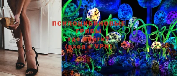 скорость Елизово
