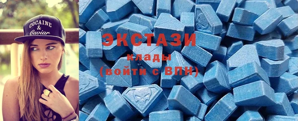ECSTASY Алзамай