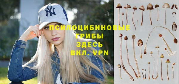ECSTASY Алзамай