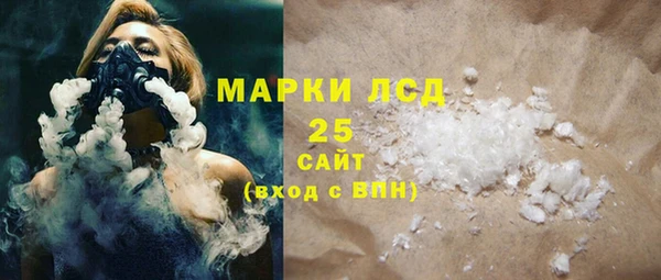 ECSTASY Алзамай
