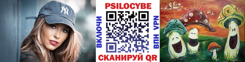 гидра маркетплейс  Лосино-Петровский  Галлюциногенные грибы Psilocybe 